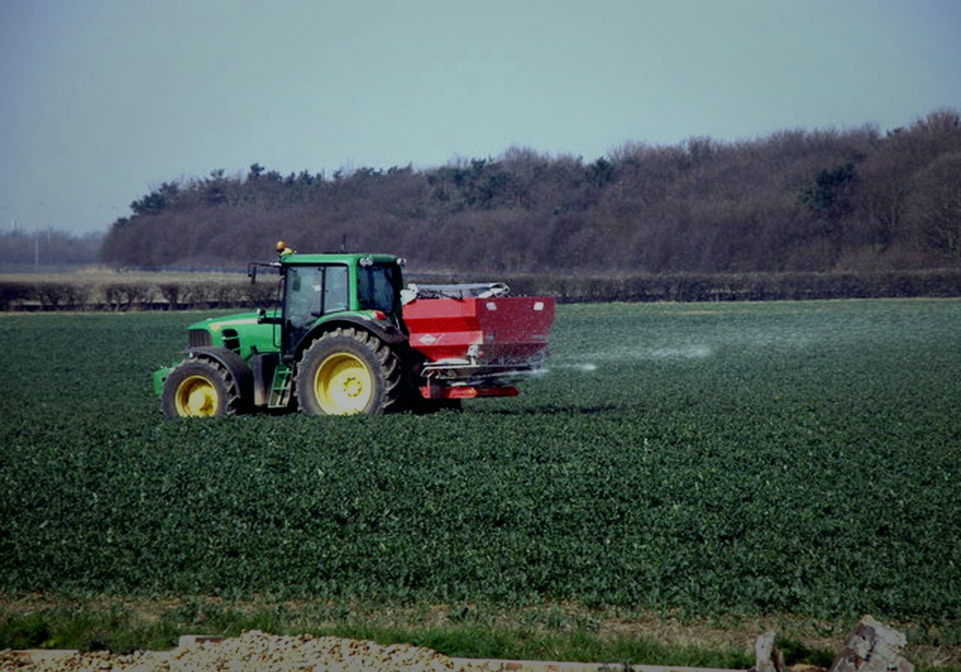 Urea fertilizante