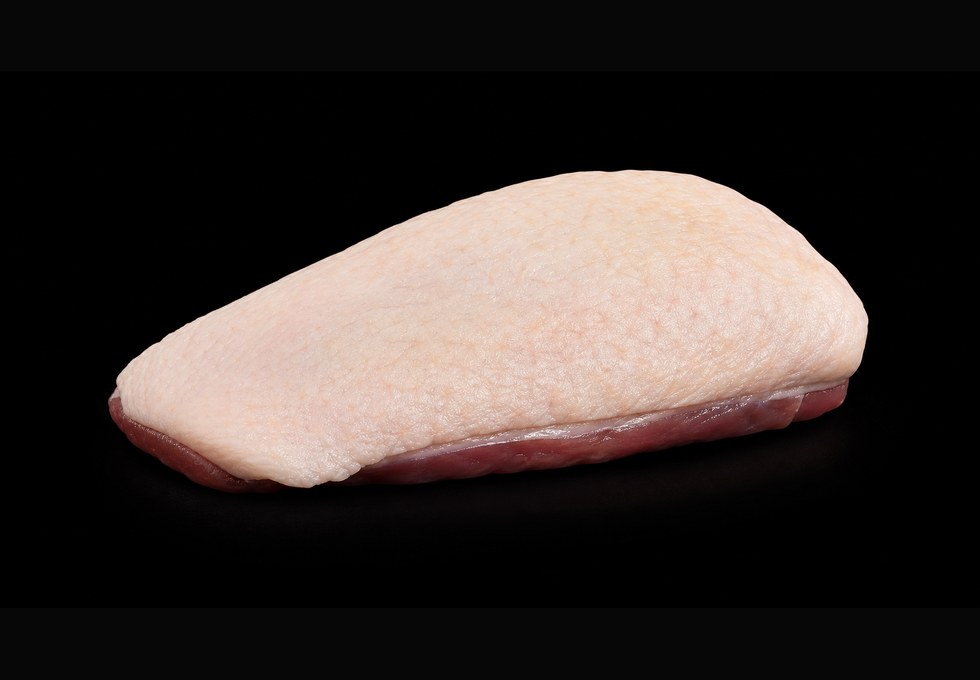 Pechuga de pato congelada